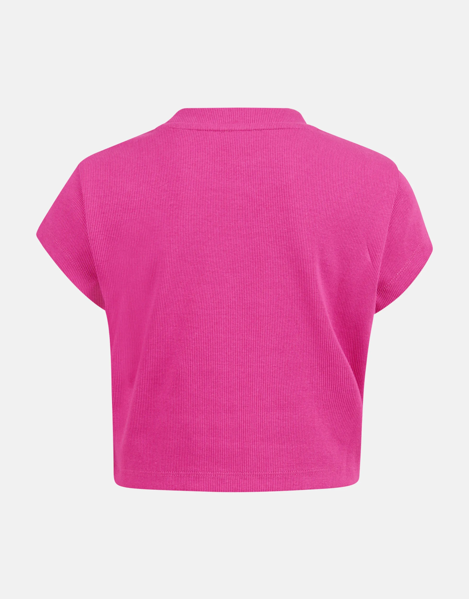 Ribbel Crop top Roze