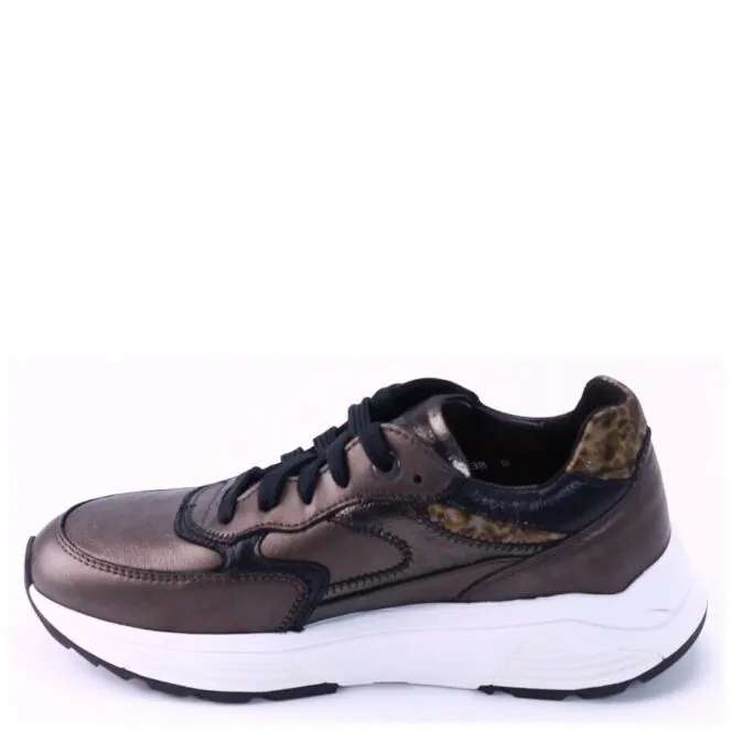 Xsensible 33002.4 Veterschoenen Bruin